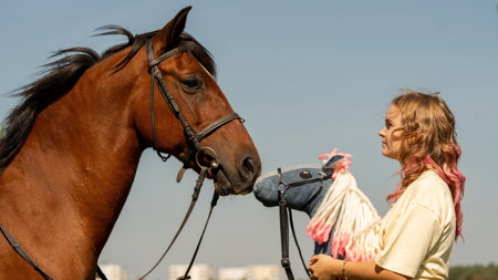 Pferd am Stiel – Bild 1