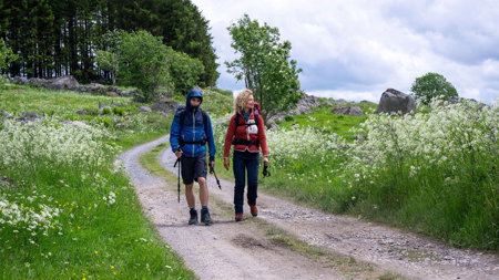 Die Camino-Therapie — Finde deinen Weg – Bild 3